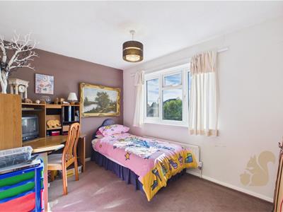 Picture 16